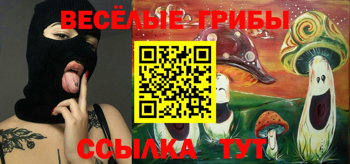 Галлюциногенные грибы мицелий Гай