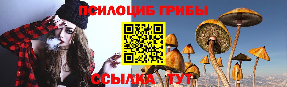 Гай  Галлюциногенные грибы Magic Shrooms  Вход с VPN  Галлюциногенные грибы прущие грибы 